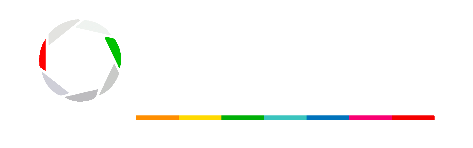 Logo Dedem